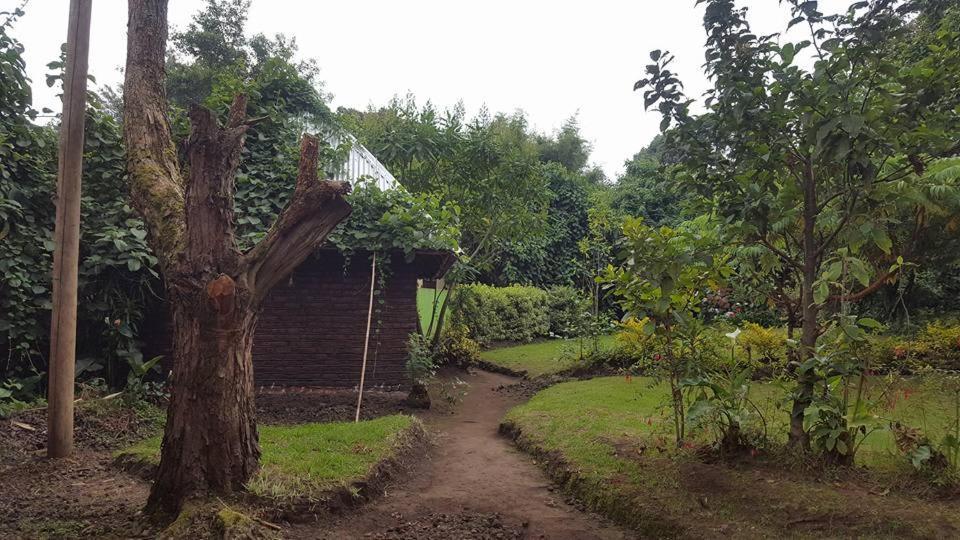 Amajambere Iwacu Community Camp Hotel Kisoro Exterior photo